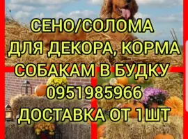 Зображення для оголошення Продам сено: луговое, люцерну. Доставка. Есть возможность оплаты по б.н