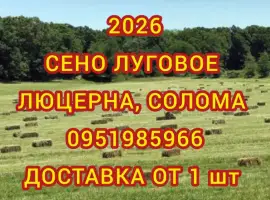 Зображення для оголошення Продам луговое сено. Сено люцерны в тюках. Доставка
