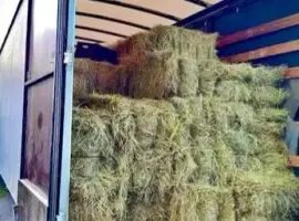 Зображення для оголошення Сено солома сіно для корма животных в тюках мешках с доставкой