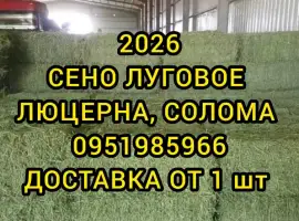 Зображення для оголошення Люцерна