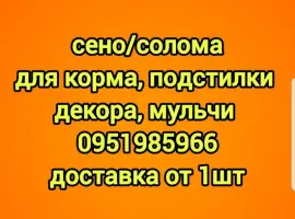 Зображення для оголошення Сено для сельхозживотных с БЕСПЛАТНОЙ доставкой. Луговое, люцерна, солома