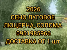Зображення для оголошення Сено для сельхозживотных с доставкой. Луговое