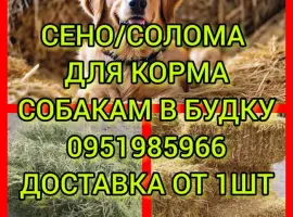 Зображення для оголошення Бесплатная доставка сена в тюках мешках (луговое, люцерна, солома)