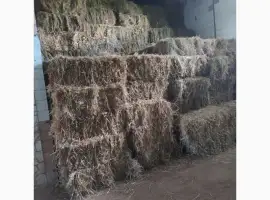 Зображення для оголошення Сіно в тюках лугове різнотравя. Урожай 2025 року. Доставка