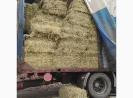 Зображення для оголошення Луговое сено в тюках. Урожай 2022. Без предоплат
