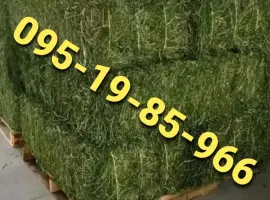 Зображення для оголошення Луговое сено, люцерна, солома с доставкой по Украине