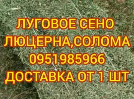 Зображення для оголошення Сено