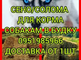 Зображення для оголошення ДЛЯ ДЕКОРА, ФОТОСЕССИИ сено солома сіно в мешках, тюках. Доставка. Качество