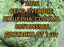 Зображення для оголошення Сено люцерны в тюках
