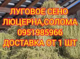 Зображення для оголошення Сено с доставкой по Украине. Луговое (разнотравье)