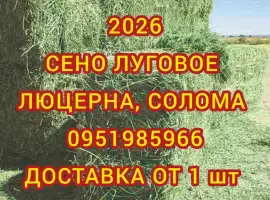 Зображення для оголошення Продам сено луговое