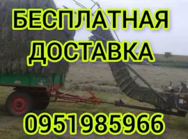 Зображення для оголошення Большие объёмы в наличии. Сено с бесплатной доставкой по Украине. Луговое, люцерна, солома
