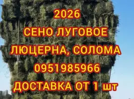 Зображення для оголошення Экологически чистое СЕНО в тюках. Большие объемы