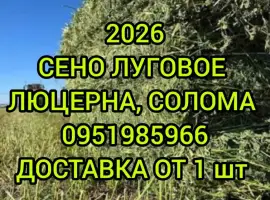 Зображення для оголошення В продаже сено в тюках (луговое
