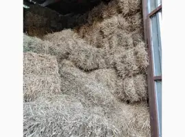Зображення для оголошення Врожай 2025=затюковане сіно