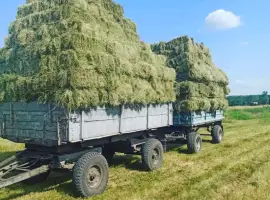 Зображення для оголошення Продаж сіна