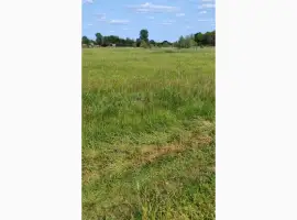 Зображення для оголошення Тюки сіна лугового