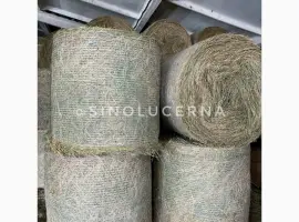 Зображення для оголошення Продам сіно люцерни в круглих тюках