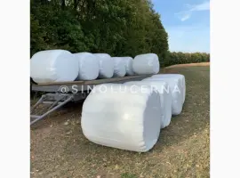 Зображення для оголошення Продам сінаж з люцерни в круглих тюках