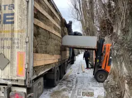Зображення для оголошення Продам лугове сіно в квадратних тюках