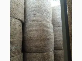 Зображення для оголошення Продам суху солому у циліндричних тюках