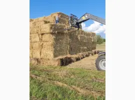 Зображення для оголошення Продам солому пшеничну в тюках