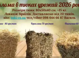 Зображення для оголошення Солома пшенична