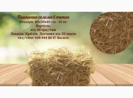 Зображення для оголошення Тюки соломи пшеничної врожаю 2024 року