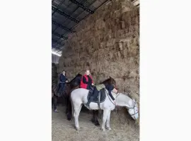 Зображення для оголошення Продам солому