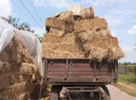 Зображення для оголошення Продам солома