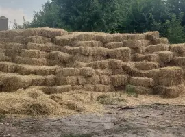 Зображення для оголошення Продам солому в тюках