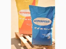 Зображення для оголошення Продам Премікси для свиней HYPERFEED