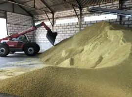Зображення для оголошення Продаємо соєвий жмих (шрот, макуха)