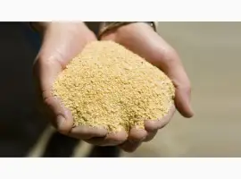 Зображення для оголошення Польская фирма AgroTorg Sp. z o.o. закупает шрот соевый на ЭКСПОРТ