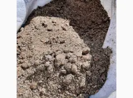 Зображення для оголошення Продам Шрот соняшника від 30кг доставка по Україні