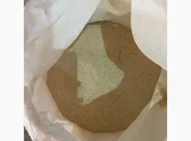 Зображення для оголошення Мучка горохова