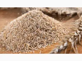 Зображення для оголошення Fresh wheat bran for sale