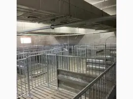 Зображення для оголошення Будівництво і реконструкція свиноферм "ПІД КЛЮЧ"