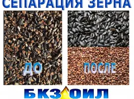 Зображення для оголошення Послуги з сортування