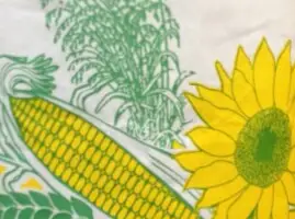 Зображення для оголошення Мешки бумажные крафт для семечки