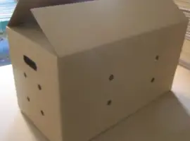Зображення для оголошення Коробки под яйца