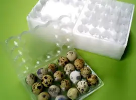 Зображення для оголошення Лоток на перепелині курині яйця 10 20 Від виробника гофро пластикова тара упаковка яєць