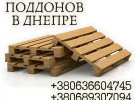 Зображення для оголошення Поддоны Днепр продажа