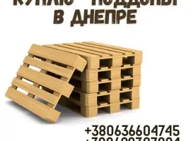 Зображення для оголошення Скупка европоддонов