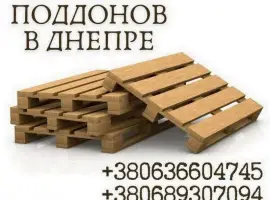 Зображення для оголошення Поддоны в Днепре продажа недорого