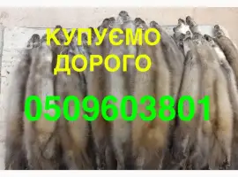 Зображення для оголошення Скупка купівля хутра куниці шкіри Мех НАЙДОРОЖЧЕ