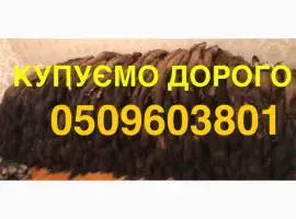 Зображення для оголошення Купуємо хутро шкіри куниці ДОРОГО мех