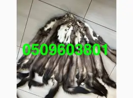 Зображення для оголошення Куниця камʼянка вичинена
