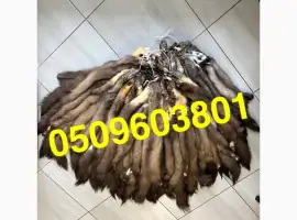Зображення для оголошення Вичинені шкури куниці (заводська вичинка)
