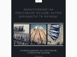 Зображення для оголошення Куплю хутро куниці Дорого